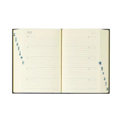 10 Years Diary