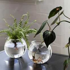 Bulb Planter 10cm Set of 2