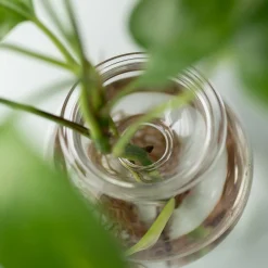 Bulb Planter 10cm Set of 2