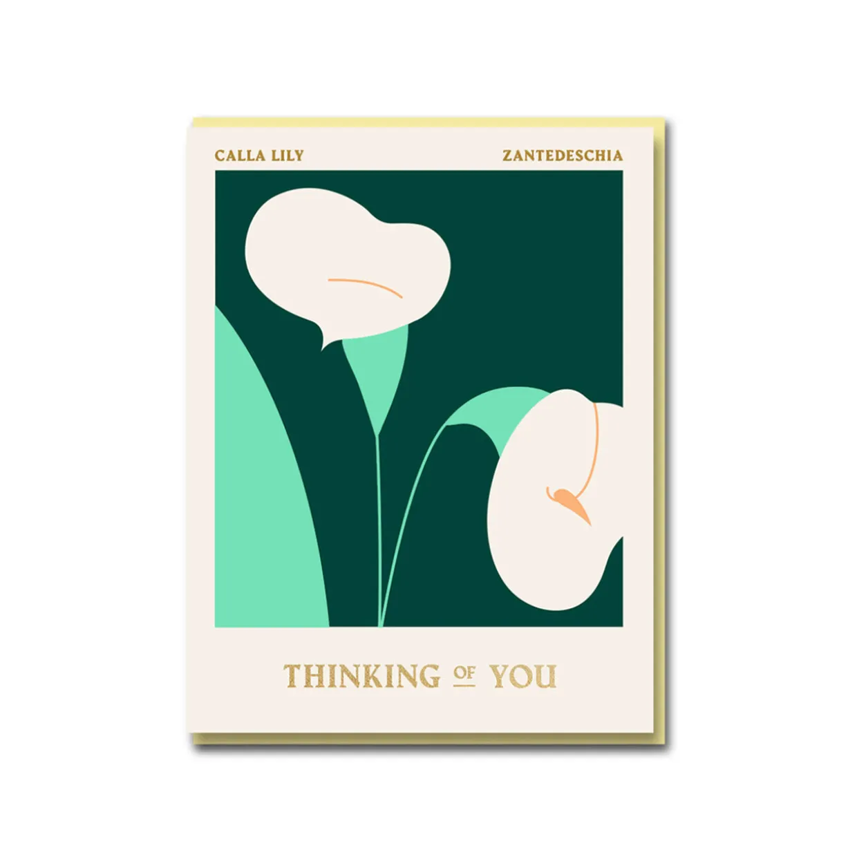 Calla Lily Thinking of You Greeting Card