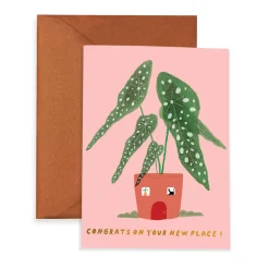 Casita Begonia Greeting Card