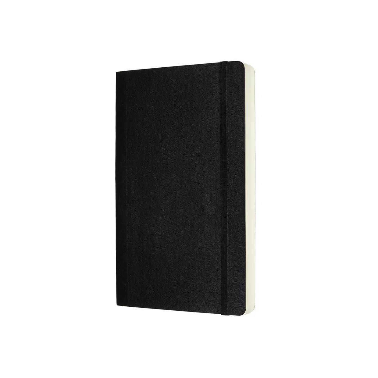Classic Large Soft Cover Expanded Notebook