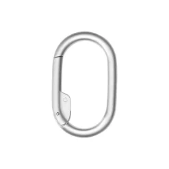 Clip v2 Carabiner