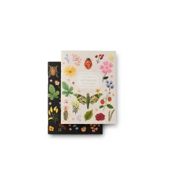 Curio Pocket Notebook Twin Pack