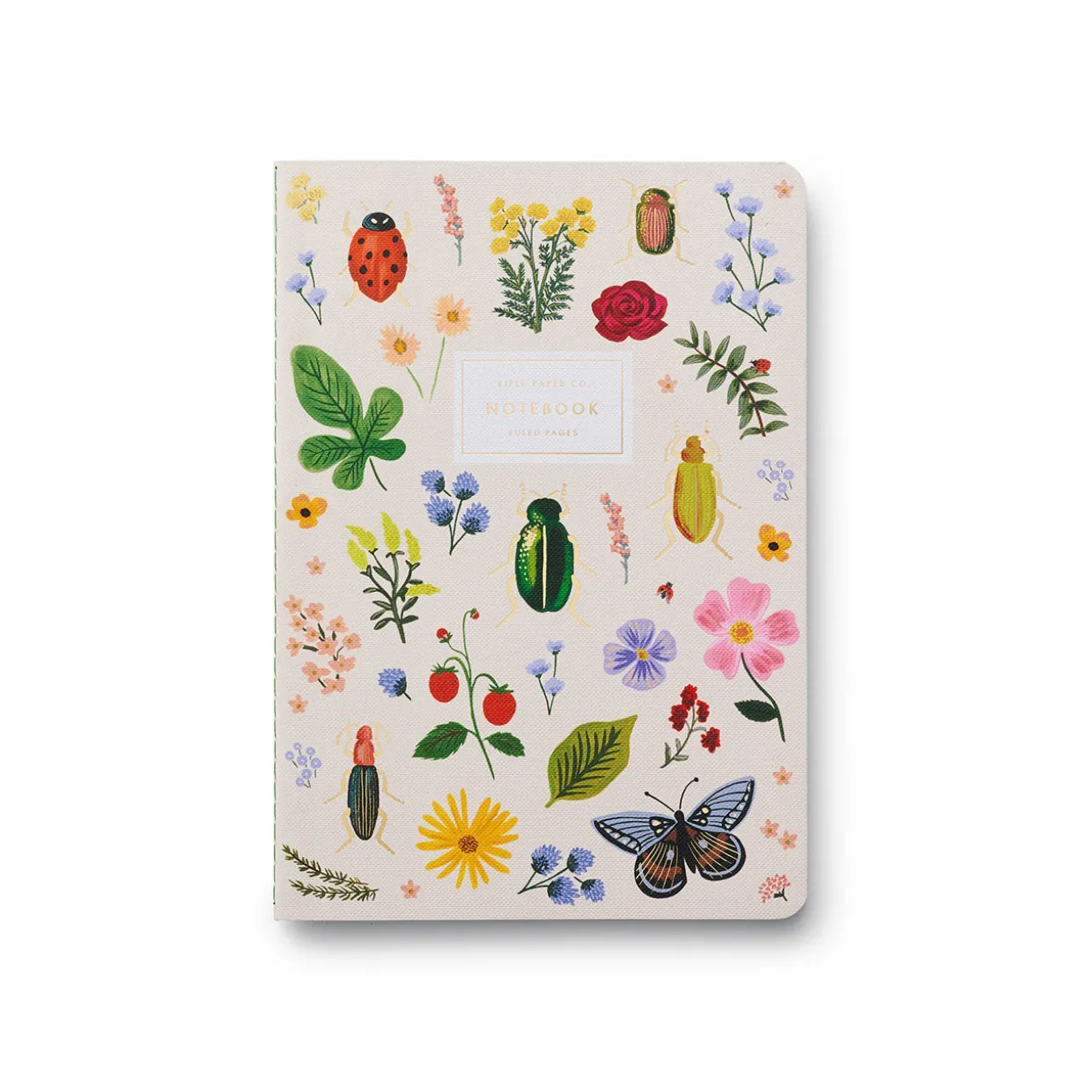 Curio Stitched Notebooks Set of 3