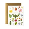 Curio Thank You Greeting Card