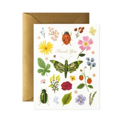 Curio Thank You Greeting Card