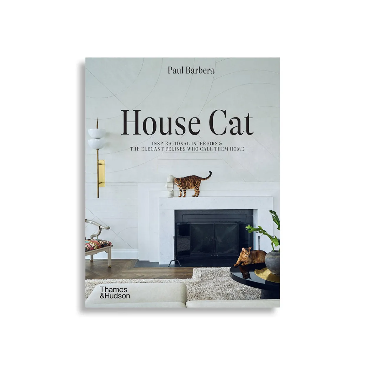 House Cat