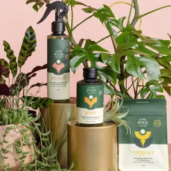 House Plant Care Essentials Kit