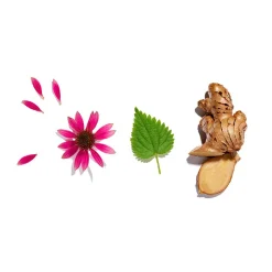 Immunity Loose Leaf Tea