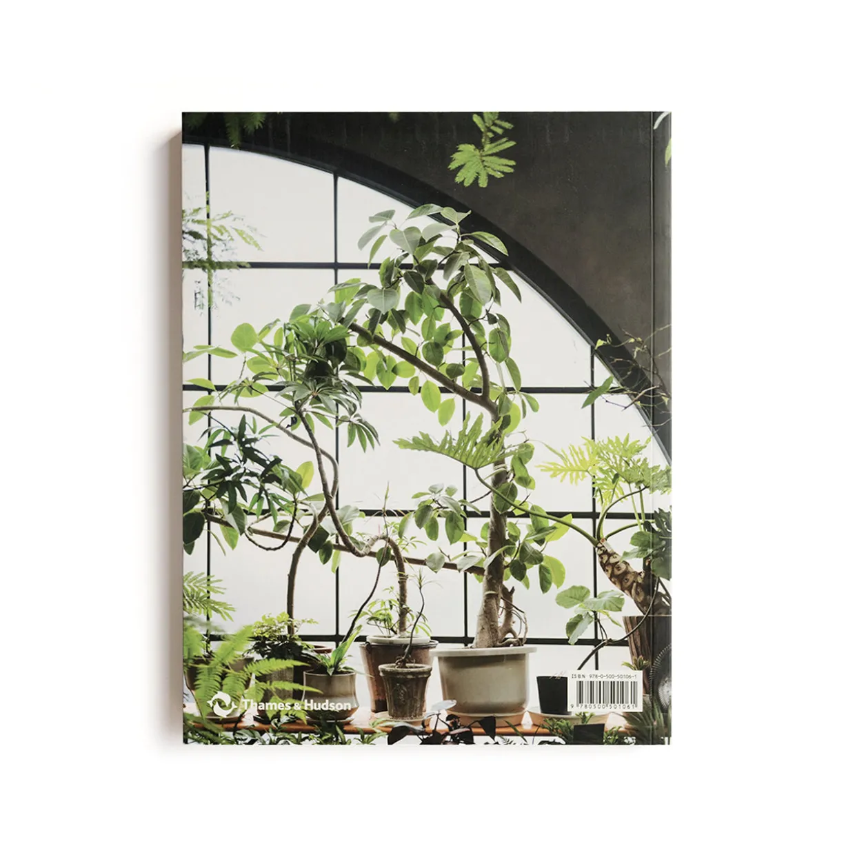 Indoor Green: Living with Plants