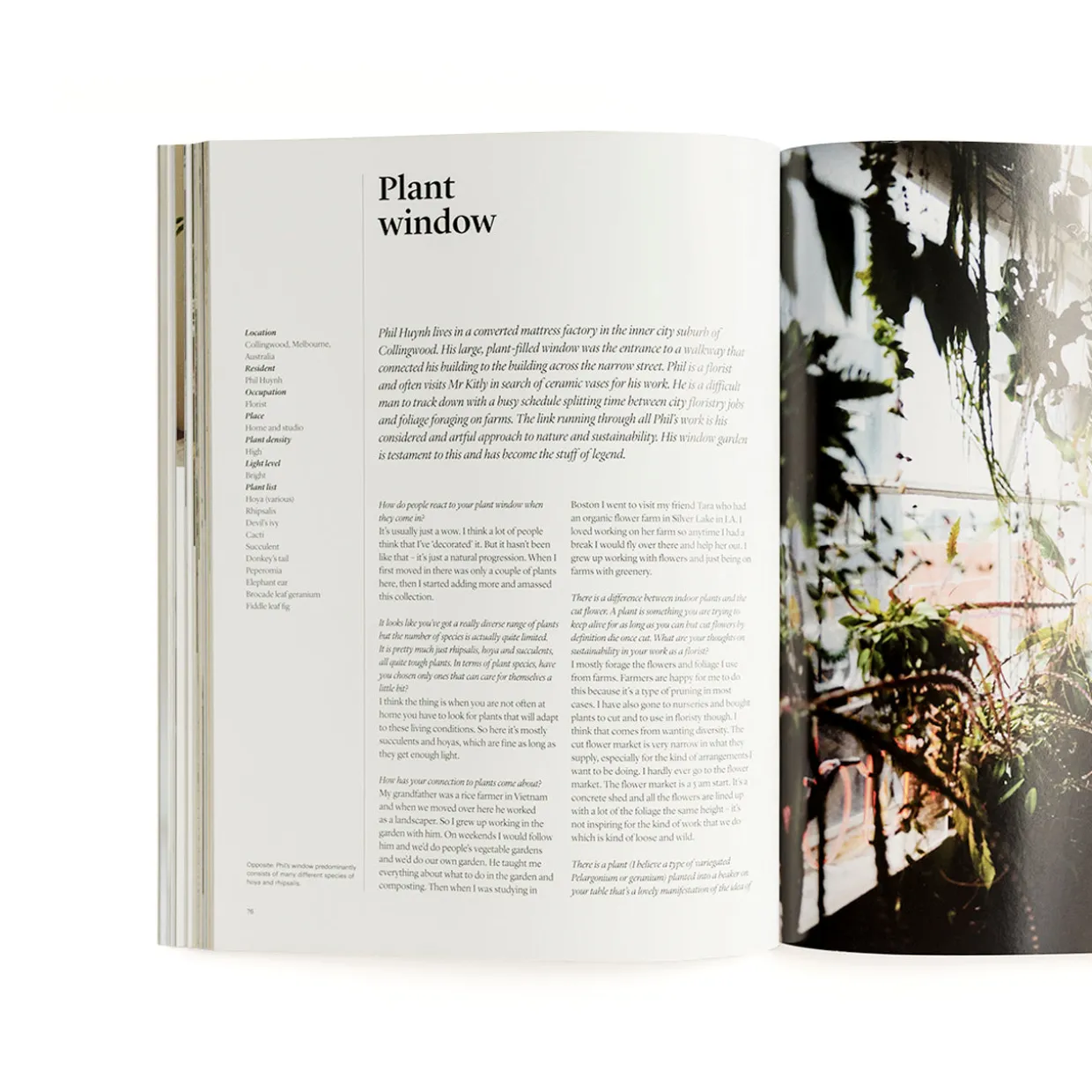 Indoor Green: Living with Plants