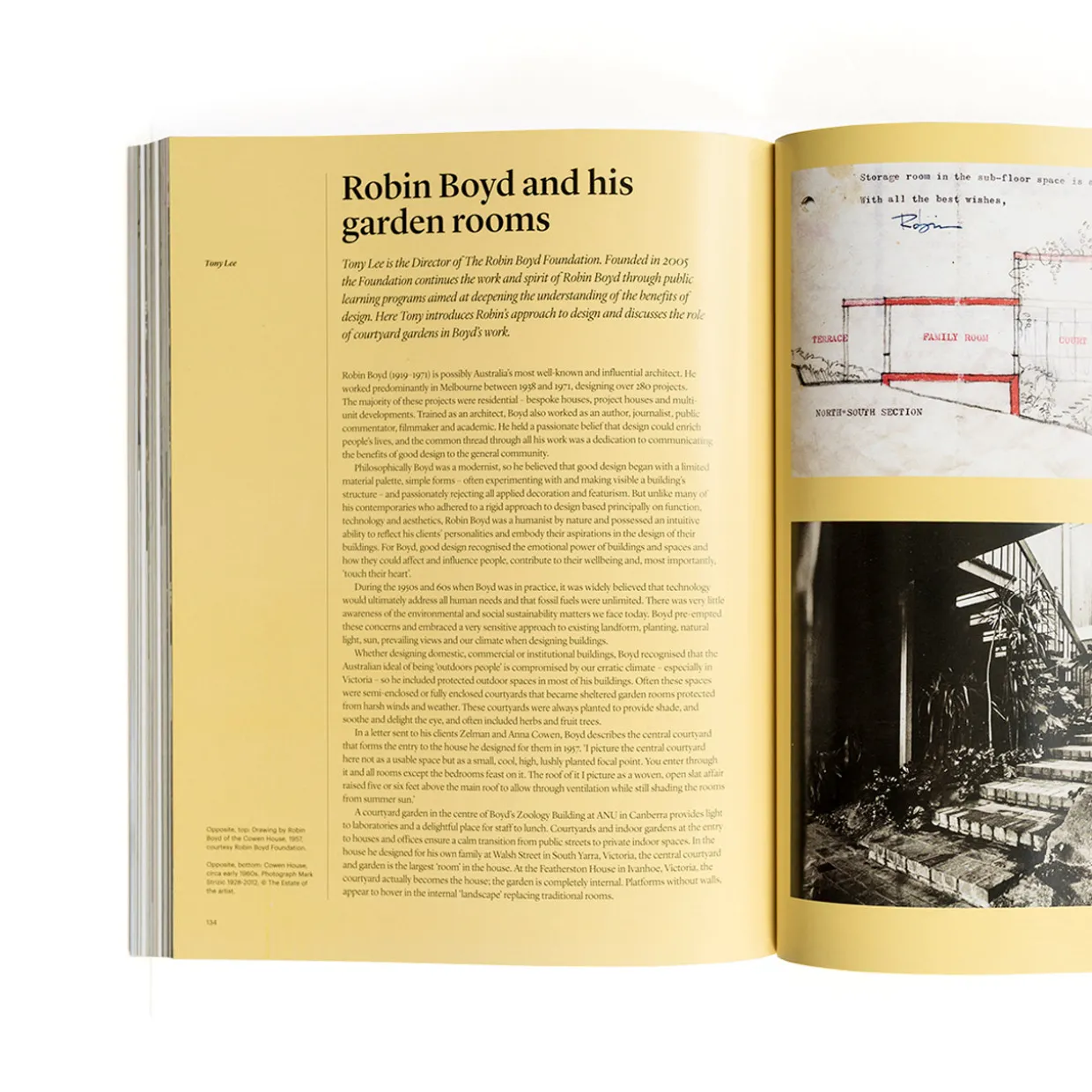 Indoor Green: Living with Plants