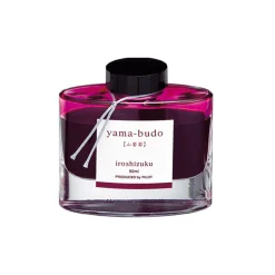 Iroshizuku Ink Bottle