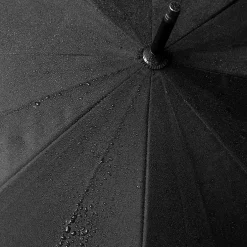 Large Animal Head Umbrella