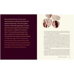 Loving Country: A Guide to Sacred Australia