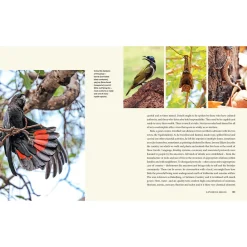 Loving Country: A Guide to Sacred Australia