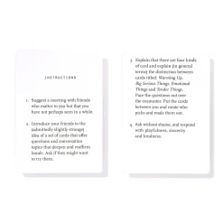 Meeting Friends Conversation Cards