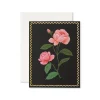 Pink Rose Greeting Card