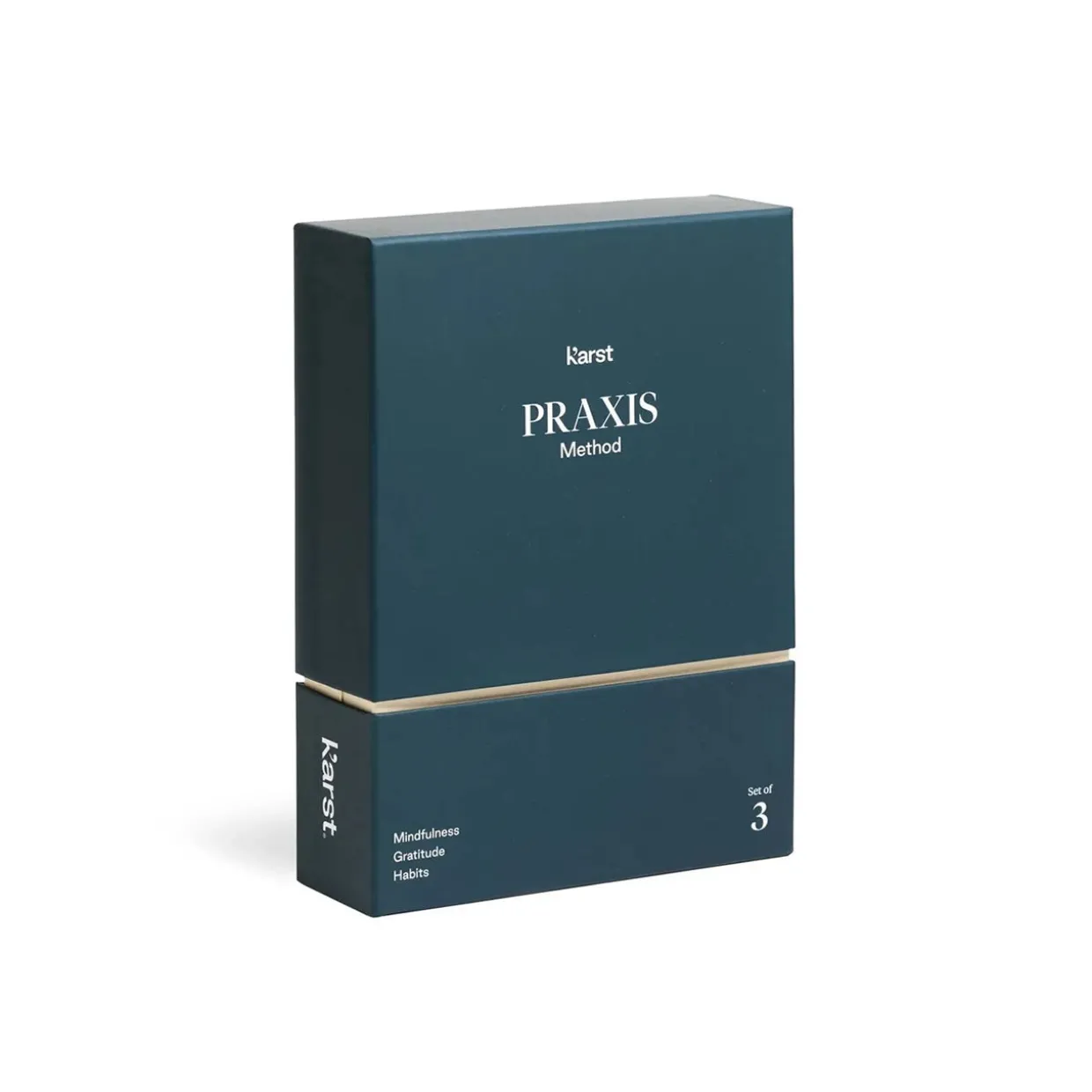 Praxis Method Journal Set