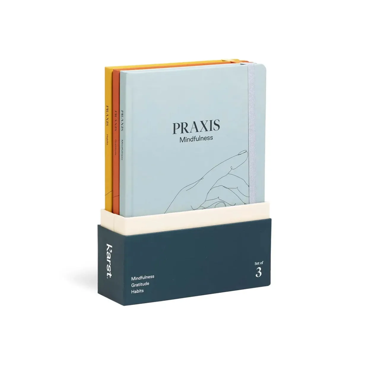 Praxis Method Journal Set