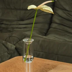 Propagation Vase