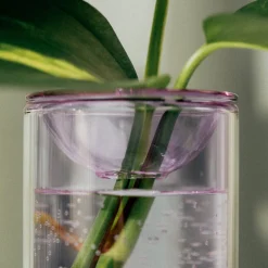 Propagation Vase