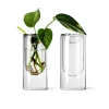 Propagation Vase Small Set of 2