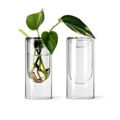 Propagation Vase Small Set of 2