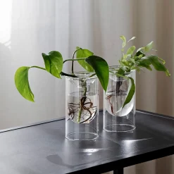 Propagation Vase Small Set of 2