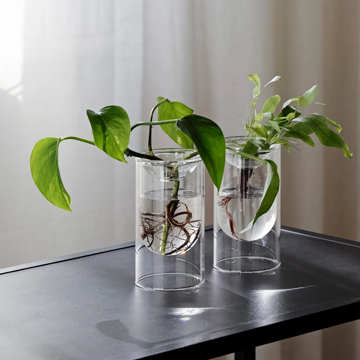 Propagation Vase Small Set of 2