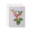 Raspberry Greeting Card