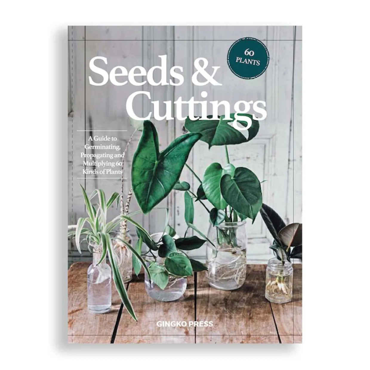 Seeds And Cuttings