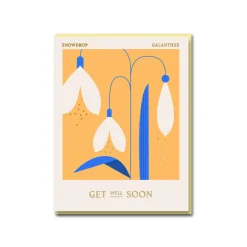 Snowdrop Get Well Soon Greeting Card