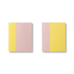 Soft Touch Notebooks A6 Cropped Ruled Set of 2