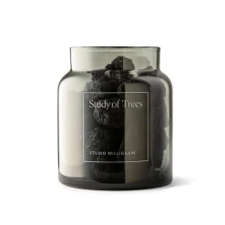 Study of Trees Scented Volcanic Rock Set