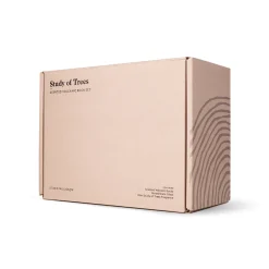 Study of Trees Scented Volcanic Rock Set