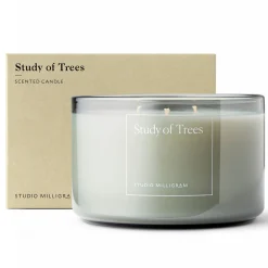 Study of Trees Three Wick Scented Candle 600g