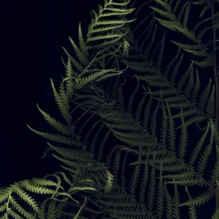 Study of Trees Three Wick Scented Candle 600g