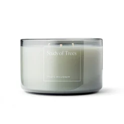Study of Trees Three Wick Scented Candle 600g
