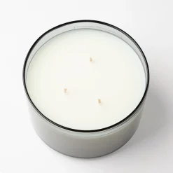 Study of Trees Three Wick Scented Candle 600g
