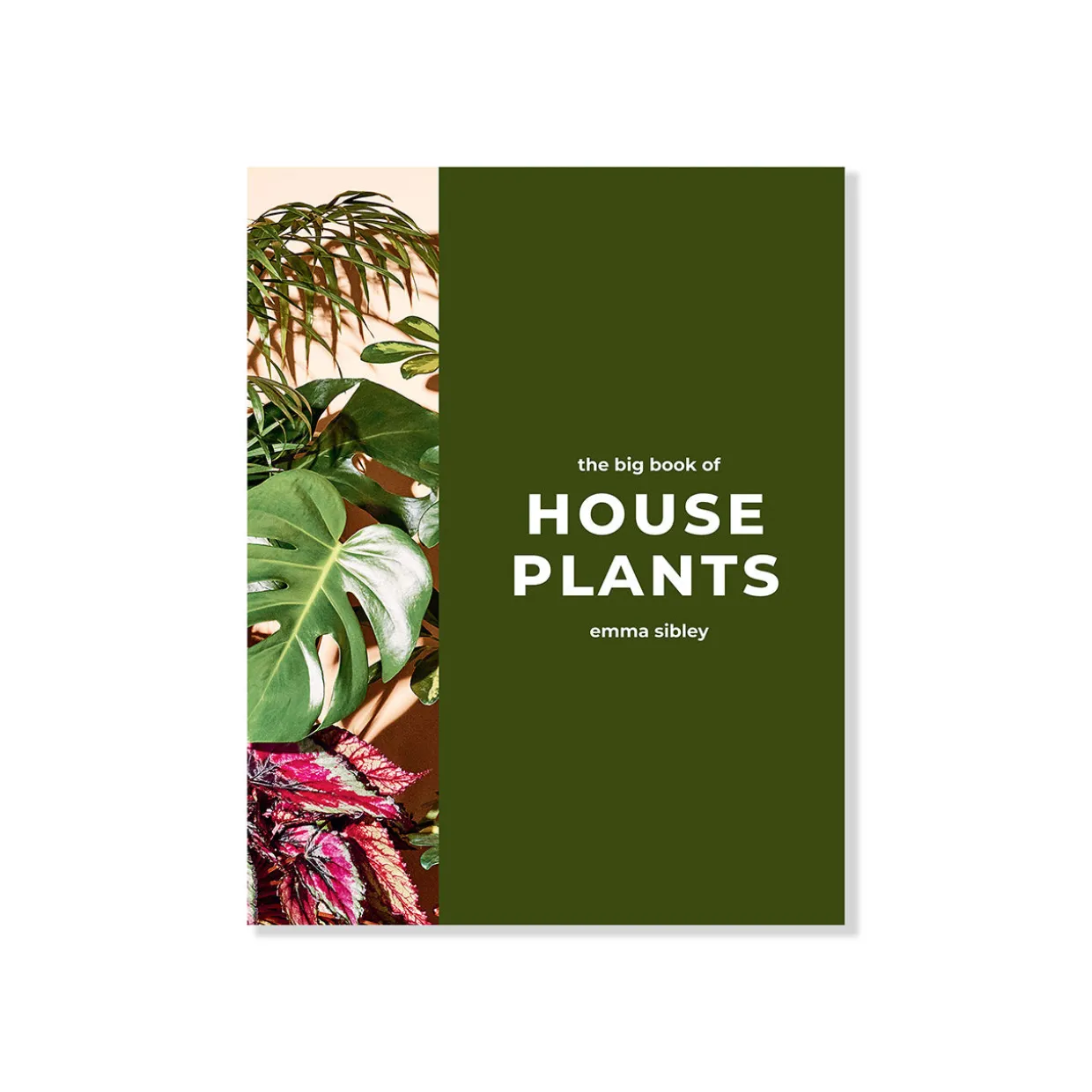 The Big Book Of House Plants