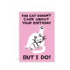 The Cat Doesn't Care Birthday Card