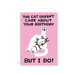 The Cat Doesn't Care Birthday Card