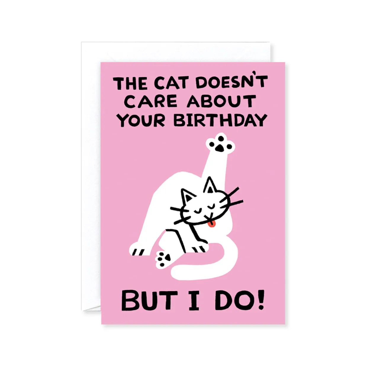 The Cat Doesn't Care Birthday Card