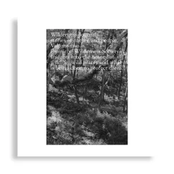 Wilderness Journal: Stories Of Nature And People, Volume Two